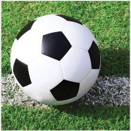 Voetbal Servetten - 18 stuks (25 cm)