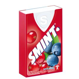 Doosje Smint Wild Fruit 12 stuks