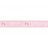 Guirnalda Foil It's a Girl 152 cm