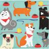 online Honden Servetten bestellen 