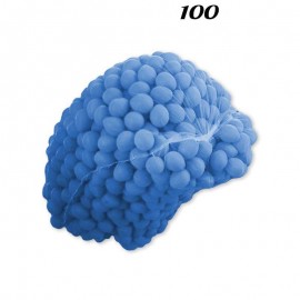 Net voor 100 ballonnen
