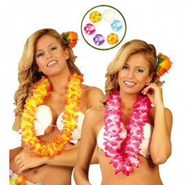 Hawaiiaanse Ketting Assortimenten