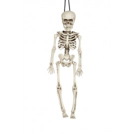 Skelet 40 cm