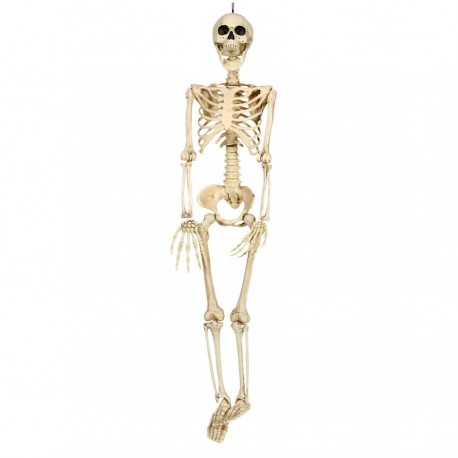 Skelet 90 Cms
