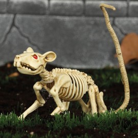 Skelet Rat 20cm