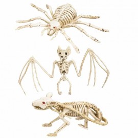 Ratten en Spinnen Skelet