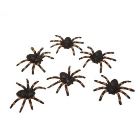 6 Fonkelende Spinnen
