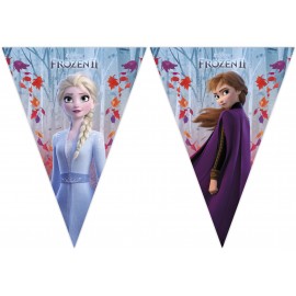 Bestel Online Frozen 2 Vlaggetjes kopen