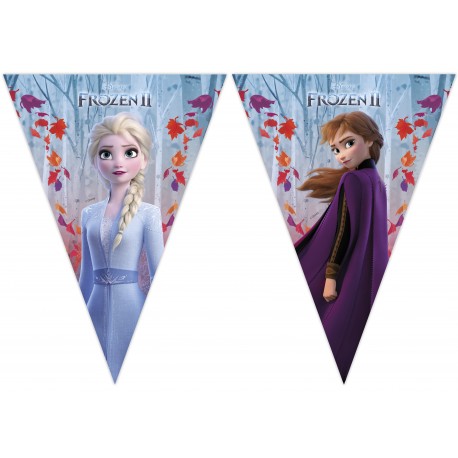 Bestel Online Frozen 2 Vlaggetjes kopen