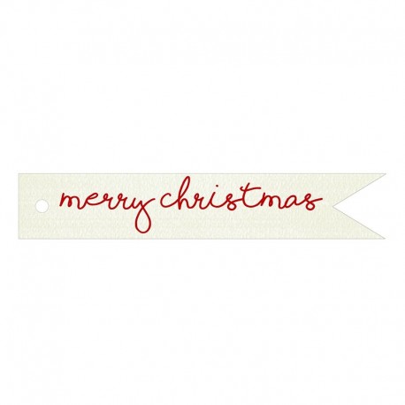 20 Vrolijk kerstwenskaarten Vrolijk kerstfeest 11x2 cm