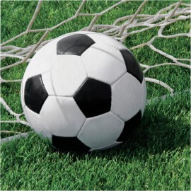 kopen bestellen voetbal servetjes online