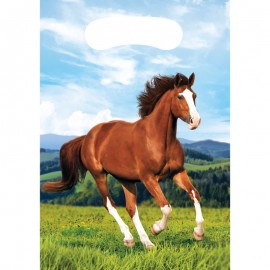 Paarden Tasjes goedkoop online 