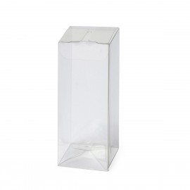 Estuche Transparente 4 x 10,5 x 4 cm