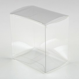 Estuche Transparente 10 x 7 x 10 cm