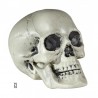 Calavera de Pvc 21 cm