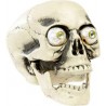 Calavera de Pvc Con Ojos Realistas 21 cm