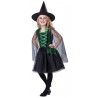 Disfraz de Wicked Witch Infantil