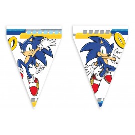 Sonic Wimpel