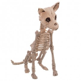 Skelet Hond 11 X 48 X 28 Cm