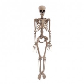 Hangend Skelet 20 X 9 X 90 Cm