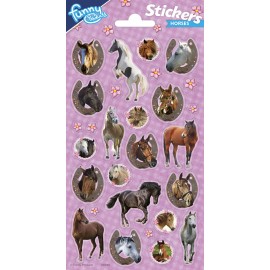 Paarden Stickers 102 x 200 mm