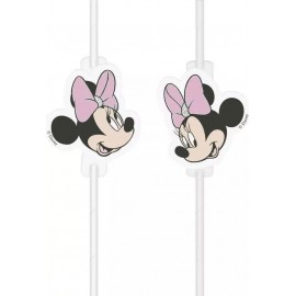 Roze Minnie Mouse Medaillon Rietjes 6 stuks bestellen 