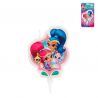 shimmer en shine bestellen kopen