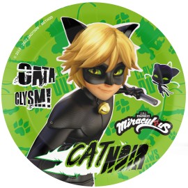 Cat Noir Borden