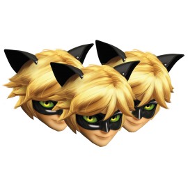 Cat Noir Maskers