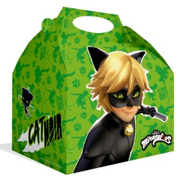 Cat Noir Doos