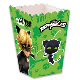 Cat Noir Popcorndoos