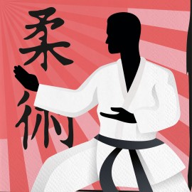 Karate Sevetten - 16 stuks (33 cm)