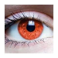 Oranje Contact Lenzen