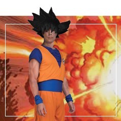 Goku Kostuums