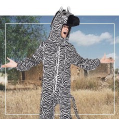 Zebra Kostuums