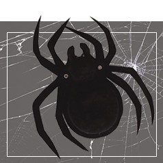 Halloween Spinnenwebben